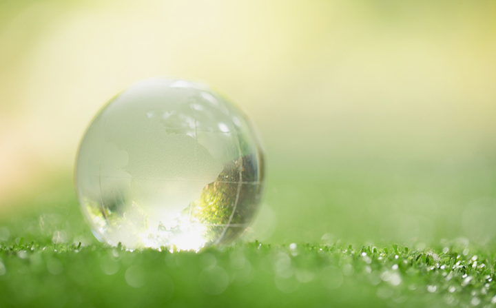 gouttelette d'eau sur l'herbe